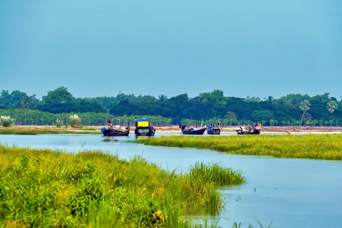 সুন্দরবন এবং বনজীবী - পর্ব-১ 3 WhatsApp Image 2023 10 03 at 6.41.04 PM 1