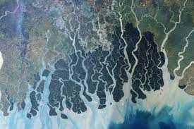 Sundarbans The Home of Bengal Tiger